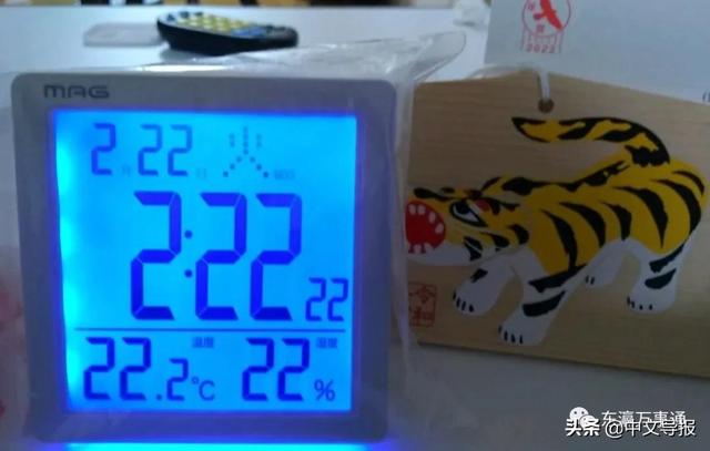 20220222:今天是百年难得一见的超级猫咪日