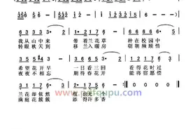 《兰花草》简谱图片