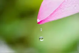 请记住，永远不要向别人解释你自己图片