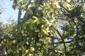 教你怎么把自己的闲置房改成赚钱的民宿图片