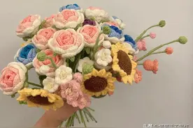 各种花花钩织教程图解图片