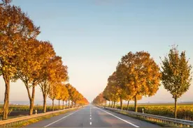 是什么原因导致现在的凶杀案越来越多图片