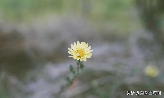 在诗词中，这16句祝福语句，如果能背下来，逢年过节可以派上用场
