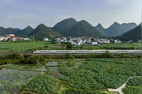 7月1日起实行新的列车运行图 国铁南宁局客货运输品质进一步提升图片