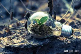 格物致知之格土｜地间的土和温室的土有何区别？幻化世间的土感悟图片