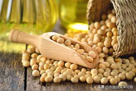 豆油为何不可以生吃，你知道吗？图片