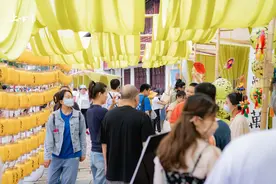 苏州桃花坞“唐寅故居文化区”即将焕新图片