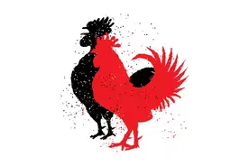 懂事又孝顺！家里属鸡的孩子，出生在这几个月份，将来很有出息！图片