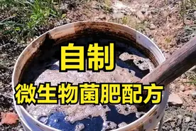 自制“微生物菌肥”配方，一斤成本十几元，既治病又增收图片