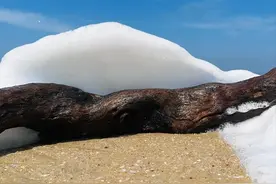 原来水还能这样拍！涨知识了图片