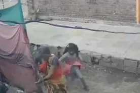 印度猫狗大战！狗咬死了只小猴，猴群复仇摔死全村250只小狗图片