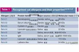 拿什么拯救你，对猫过敏的人图片