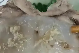 喝鸭汤喝出一堆白花花的东西！ 大家来分辨一下是苍蝇卵还是鸭毛？图片