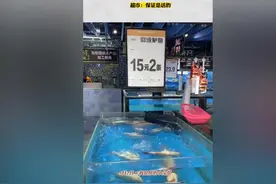 广东：会仰泳的鲈鱼 15元2条 还挺便宜图片