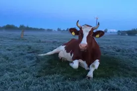 干农活如何省力？源自人体工程学的建议和工具图片