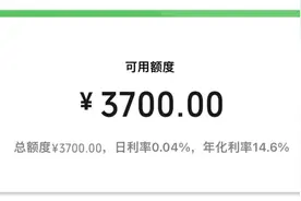 微信版“花呗”，没有免息期？图片