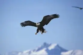 哪句话让你记住一本书？图片