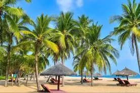 海南岛的自然地理状况图片