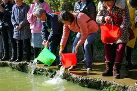 江苏女子放生12吨鲶鱼，被告上法庭罚款14.8万，为何放生变杀生？图片