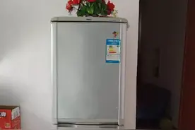 提醒：家中有冰箱注意，切记冰箱上别放三样，究竟是哪“3样”？图片