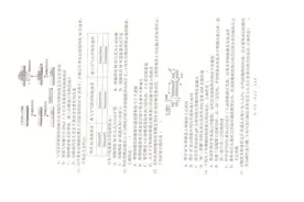 西安学校2024届高一生物期中考试试题附答案图片