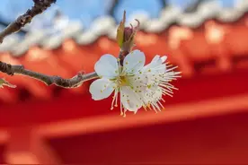 人与人相处请带上真诚图片