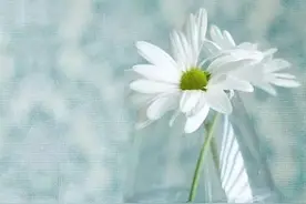 人到中年，慢一点，才有福气图片