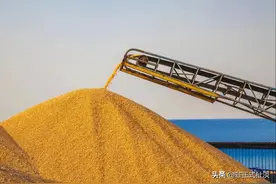 中粮未跻身全球四大粮商，那么它的地位和实力又如何图片