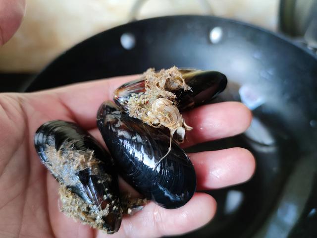 春天常见的22种小海鲜，因便宜常被瞧不起，却都是汁少味鲜的美味