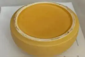 科学无处不在--茶叶罐制作花盆图片