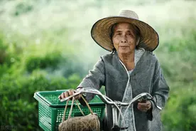 农民社保补缴，未来还有机会吗？例如补缴5万，次月可领1500元？图片