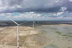 大安市：提升生态“颜值”，打造“生态大安”图片