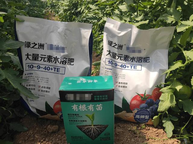 水溶肥里到底都有啥？了解后自己配制，别再花冤枉钱