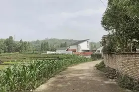 农村老人常说“建房不建压身房，垒墙不垒迈腿墙”，到底啥意思？图片