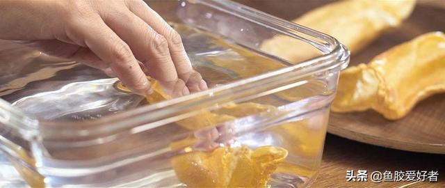 小鱼胶需要泡发吗 小鱼胶需要泡发吗为什么