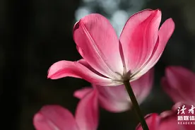 “换一个人结婚，婚姻就会好吗？”图片