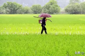 耕地二轮承包即将到期，农民期待第三轮打乱重分！有希望吗？图片