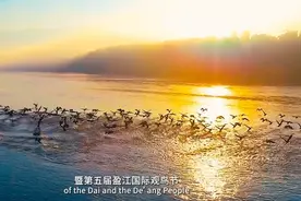 盈江泼水节宣传片图片