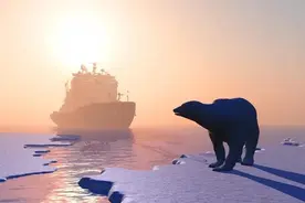 心理学白熊效应：越是想忘掉的事情就越是忘不掉，怕什么就来什么图片