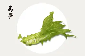 莴笋、莴苣是同一种蔬菜吗？图片