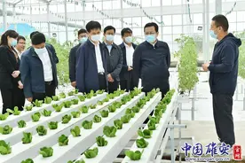 张国华调研雄东片区安置房建设和雄县农业产业结构调整工作图片
