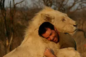 因肉质鲜美被人类吃灭绝，从50亿只到无影无踪，仅仅用了100年图片