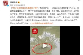 男子自家鱼塘钓鱼遭遇扬子鳄：靠近保护区，一开始还以为是树桩图片
