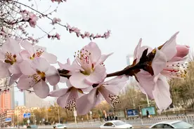 明天开始！沈阳地铁有重要调整！图片