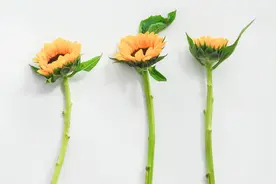 一个人突然不发朋友圈了，有三个原因，很准图片