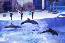 寻美·潍坊采风行 | 寿光风景美如画 寒亭稻香飘满城图片