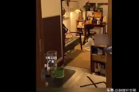 妈妈吐槽女儿房间像另一个次元图片