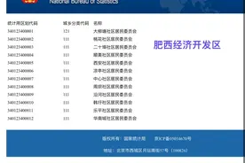 肥西经开区竟为合肥市主城区？图片