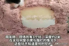 后续！四川安岳姐弟三人丧命水坑，知情人曝光内幕，母亲太难了图片