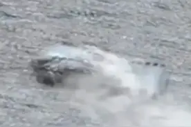 男子疑因手机爆炸当街倒地，手机不停冒烟！图片